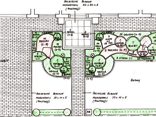 Beplantingsplan Grote Tuin